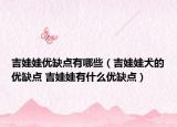 吉娃娃優(yōu)缺點有哪些（吉娃娃犬的優(yōu)缺點 吉娃娃有什么優(yōu)缺點）