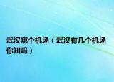 武漢哪個(gè)機(jī)場(chǎng)（武漢有幾個(gè)機(jī)場(chǎng) 你知嗎）