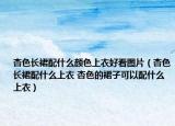 杏色長裙配什么顏色上衣好看圖片（杏色長裙配什么上衣 杏色的裙子可以配什么上衣）