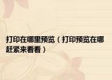 打印在哪里預(yù)覽（打印預(yù)覽在哪 趕緊來看看）