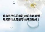 睡房養(yǎng)什么花最好 放這些最好看（睡房養(yǎng)什么花最好 放這些最好）