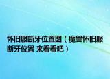 懷舊服斷牙位置圖（魔獸懷舊服斷牙位置 來看看吧）