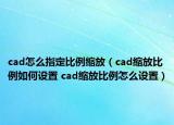 cad怎么指定比例縮放（cad縮放比例如何設(shè)置 cad縮放比例怎么設(shè)置）
