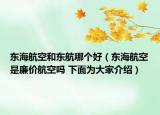 東海航空和東航哪個好（東海航空是廉價航空嗎 下面為大家介紹）