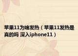 蘋果11為啥發(fā)熱（蘋果11發(fā)熱是真的嗎 深入iphone11）