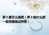 蘿卜要怎么施肥（蘿卜施什么肥 一般需要施這種肥）