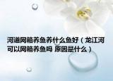 河道網(wǎng)箱養(yǎng)魚(yú)養(yǎng)什么魚(yú)好（龍江河可以網(wǎng)箱養(yǎng)魚(yú)嗎 原因是什么）
