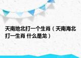 天南地北打一個(gè)生肖（天南海北打一生肖 什么是龍）