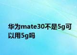 華為mate30不是5g可以用5g嗎