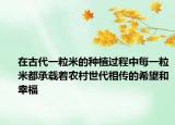 在古代一粒米的種植過程中每一粒米都承載著農(nóng)村世代相傳的希望和幸福