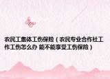 農(nóng)民工集體工傷保險（農(nóng)民專業(yè)合作社工作工傷怎么辦 能不能享受工傷保險）