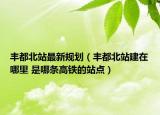 豐都北站最新規(guī)劃（豐都北站建在哪里 是哪條高鐵的站點(diǎn)）
