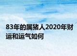 83年的屬豬人2020年財(cái)運(yùn)和運(yùn)氣如何