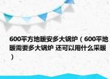 600平方地暖安多大鍋爐（600平地暖需要多大鍋爐 還可以用什么采暖）