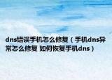dns錯(cuò)誤手機(jī)怎么修復(fù)（手機(jī)dns異常怎么修復(fù) 如何恢復(fù)手機(jī)dns）