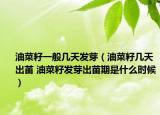 油菜籽一般幾天發(fā)芽（油菜籽幾天出苖 油菜籽發(fā)芽出苗期是什么時(shí)候）