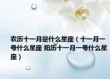 農(nóng)歷十一月是什么星座（十一月一號(hào)什么星座 陽(yáng)歷十一月一號(hào)什么星座）