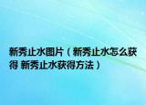 新秀止水圖片（新秀止水怎么獲得 新秀止水獲得方法）