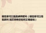 銅錢草可以施氮磷鉀肥嗎（銅錢草可以用氮肥嗎 園藝師教你如何正確栽培）