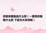 你就來(lái)看我是什么歌（一看到你我就什么歌 下面為大家講解）