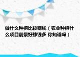 做什么種植比較賺錢（農(nóng)業(yè)種植什么項(xiàng)目前景好掙錢多 你知道嗎）