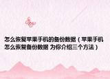 怎么恢復蘋果手機的備份數(shù)據(jù)（蘋果手機怎么恢復備份數(shù)據(jù) 為你介紹三個方法）