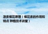 激素催花原理（催花素的作用和特點 種植技術(shù)講堂）