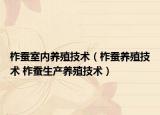 柞蠶室內(nèi)養(yǎng)殖技術(shù)（柞蠶養(yǎng)殖技術(shù) 柞蠶生產(chǎn)養(yǎng)殖技術(shù)）