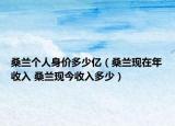 桑蘭個(gè)人身價(jià)多少億（桑蘭現(xiàn)在年收入 桑蘭現(xiàn)今收入多少）