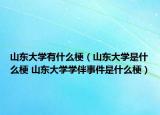 山東大學有什么梗（山東大學是什么梗 山東大學學伴事件是什么梗）