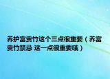 養(yǎng)護(hù)富貴竹這個(gè)三點(diǎn)很重要（養(yǎng)富貴竹禁忌 這一點(diǎn)很重要哦）