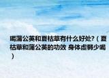 喝蒲公英和夏枯草有什么好處?（夏枯草和蒲公英的功效 身體虛弱少喝）