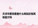 天津市委常委是什么級別還有其他層次嗎