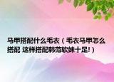 馬甲搭配什么毛衣（毛衣馬甲怎么搭配 這樣搭配韓范軟妹十足!）