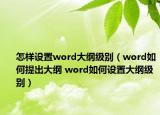 怎樣設(shè)置word大綱級別（word如何提出大綱 word如何設(shè)置大綱級別）