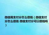 微信用支付分怎么借錢（微信支付分怎么借錢 微信支付分可以借錢嗎）