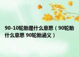 90-10輪胎是什么意思（90輪胎什么意思 90輪胎涵義）