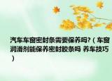 汽車車窗密封條需要保養(yǎng)嗎?（車窗潤(rùn)滑劑能保養(yǎng)密封膠條嗎 養(yǎng)車技巧）