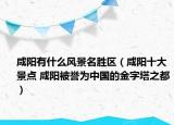 咸陽有什么風(fēng)景名勝區(qū)（咸陽十大景點(diǎn) 咸陽被譽(yù)為中國的金字塔之都）