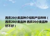 西農(nóng)20小麥品種介紹和產(chǎn)量咋樣（西農(nóng)20小麥品種 西農(nóng)20小麥品種好不好）