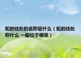 蛇的住處的名稱是什么（蛇的住處稱什么 一般位于哪里）