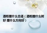 酒柜擺什么合適（酒柜擺什么樹好 擺什么方向好）