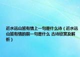 近水遠(yuǎn)山皆有情上一句是什么詩（近水遠(yuǎn)山皆有情的前一句是什么 古詩欣賞及解析）