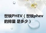 世銳PHEV（世銳phev的排量 是多少）