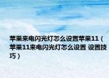 蘋果來電閃光燈怎么設(shè)置蘋果11（蘋果11來電閃光燈怎么設(shè)置 設(shè)置技巧）