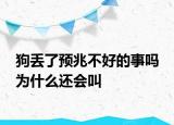 狗丟了預兆不好的事嗎 為什么還會叫