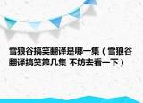 雪狼谷搞笑翻譯是哪一集（雪狼谷翻譯搞笑第幾集 不妨去看一下）