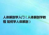 人體解剖學(xué)入門(mén)（人體解剖學(xué)教程 如何學(xué)人體解剖）