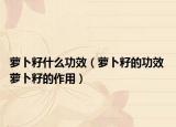 蘿卜籽什么功效（蘿卜籽的功效 蘿卜籽的作用）
