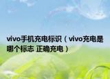 vivo手機(jī)充電標(biāo)識(shí)（vivo充電是哪個(gè)標(biāo)志 正確充電）